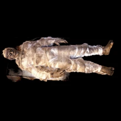 It Lives All Electric Prop -Bloodline Effects Store 82c588 5799746168ed422a846159cbf3d8a286mv2