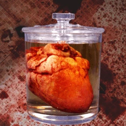 Small Lifelike Heart Apothecary Specimen Jar -Bloodline Effects Store 82c588 59400354785d4b10a8b8fd88385174d6mv2