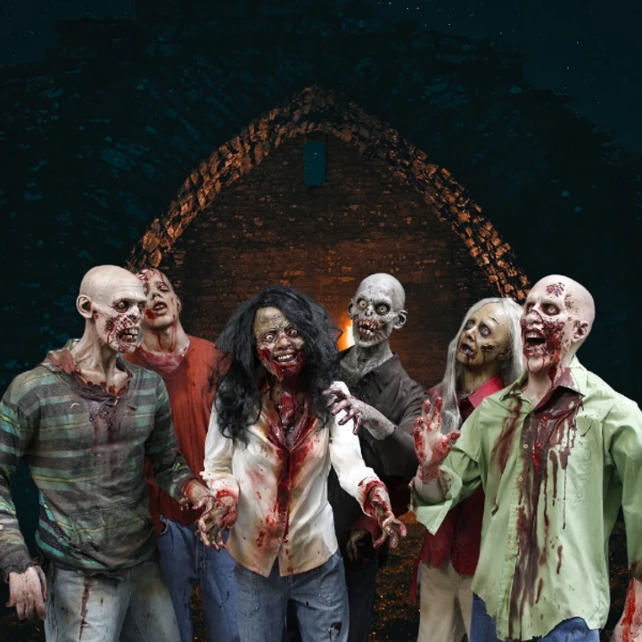 Professional Zombie Horde Value 6 Pack 4 Professional Zombie Horde Value 6 Pack - Image 2
