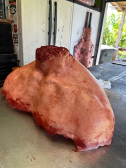 Shoulder Missing Head -Bloodline Effects Store 82c588 65a78aac2e644777b8380b1d11e8044amv2