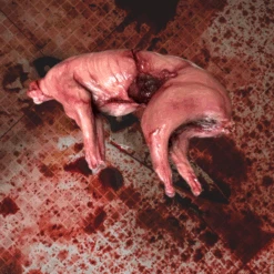 Rabbit Prop Skinned -Bloodline Effects Store 82c588 6cbb83ae3a814e92a21045278b8ef249mv2