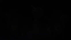 Animated 7 FtDark Forest Dragon 6 Animated 7 FtDark Forest Dragon -Bloodline Effects Store 82c588 6fa63b31f8944d258c0fa62df9626a98f002