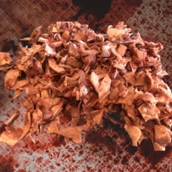 3 Lbs Of Silicone Flesh Pieces -Bloodline Effects Store 82c588 7204a2721e0a4031934ef047a052adbdmv2