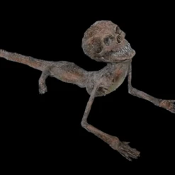 3 Ft. Feejee Mermaid Prop -Bloodline Effects Store 82c588 7310d24d374f46bb9c8e572cf5ee6e5bmv2 1