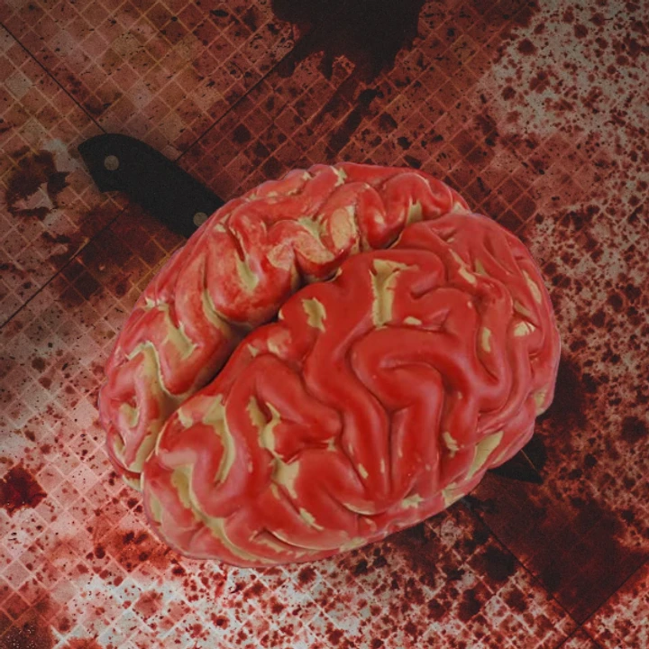 Halloween Brain Prop, Fake Bloody Brain Body Organ 3 Halloween Brain Prop, Fake Bloody Brain Body Organ