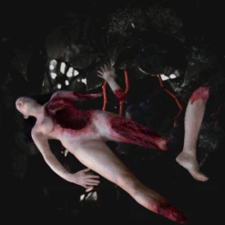 Deluxe Wounded Jessica Body With Parts -Bloodline Effects Store 82c588 75fb8d6992f645b1b05cb8f3b3e91c46mv2