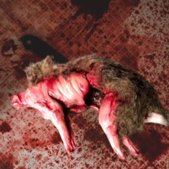Animal Prop Rabbit Skinned With Fur - Large 5 Animal Prop Rabbit Skinned With Fur - Large -Bloodline Effects Store 82c588 7910561e060f4dbc86e36488ebfda618mv2