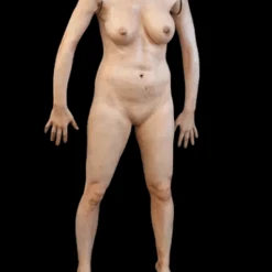 Decapitated Jessica Body 11 Decapitated Jessica Body -Bloodline Effects Store 82c588 7989591eeb6f4255999345ea916c44aamv2