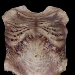 Zombie Torso SkinProfessional Quality -Bloodline Effects Store 82c588 7ea0c70a4cbd4a80a203db326c996fb4mv2