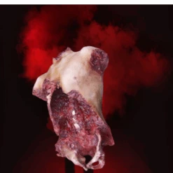 An Extremely Gory Piece, This Deluxe Gore Chest Has Been Ripped Open To Reveal Spine, Ribs And Hip Bones. -Bloodline Effects Store 82c588 8251a82a69224498bc620d8795e713e1mv2