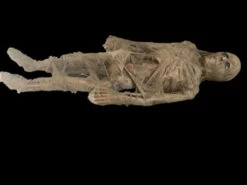 5 Foot Static MummyProfessional Quality 5 5 Foot Static MummyProfessional Quality -Bloodline Effects Store 82c588 8f0873689a5b429f97ad1bc7cdb0d0e7mv2