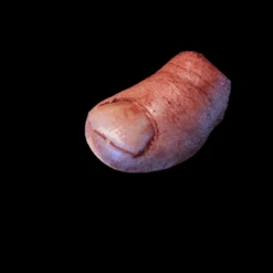 Severed Big Toe -Bloodline Effects Store 82c588 913589e6506a4b4b9e01eba372278407mv2