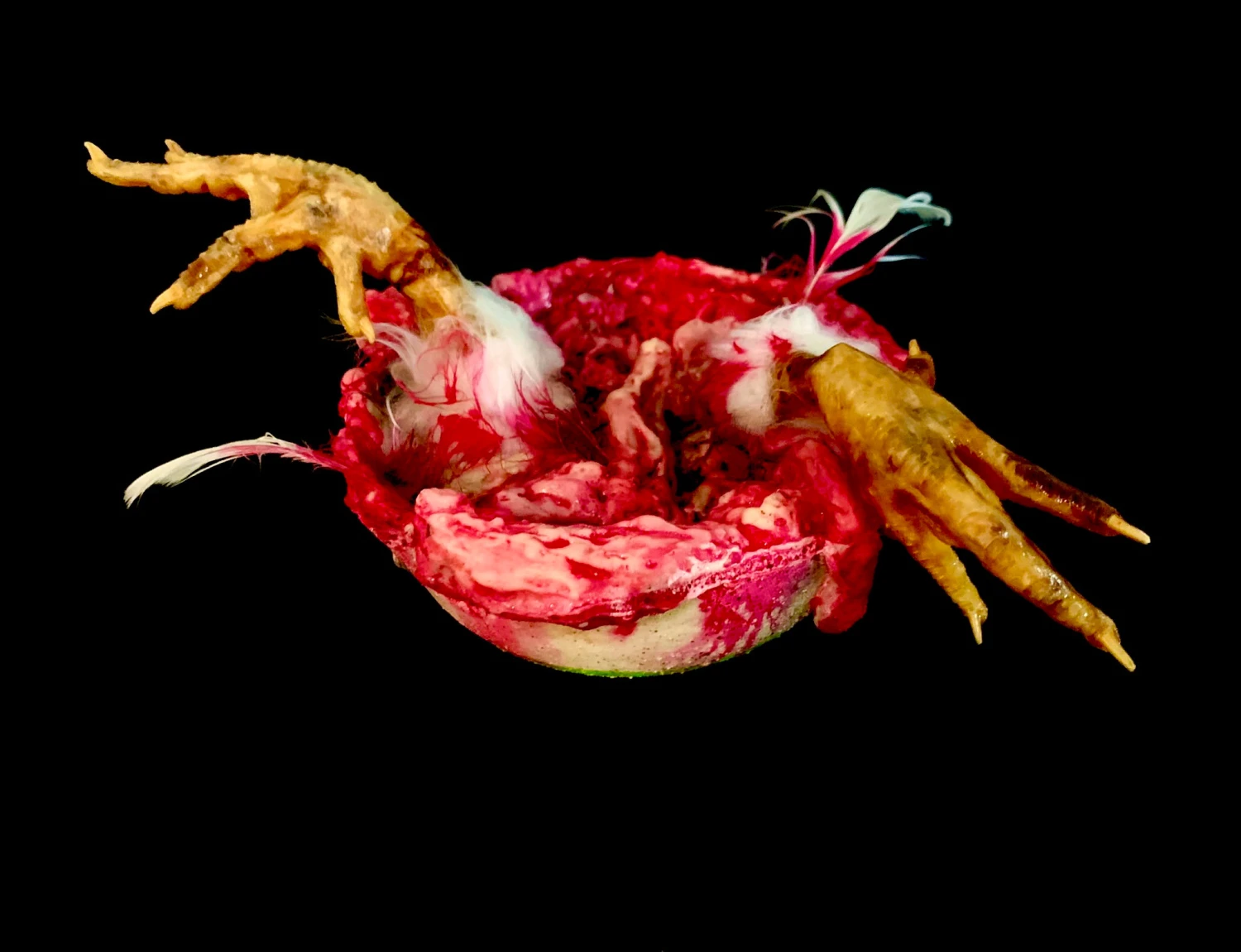 Bowl Of Chicken Goo 4 Bowl Of Chicken Goo - Image 2