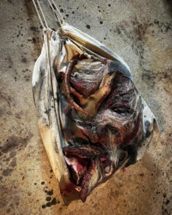 Roadkill Opossum In A Bag -Bloodline Effects Store 82c588 93cc2d667c9e47cda02a48a6fece438emv2