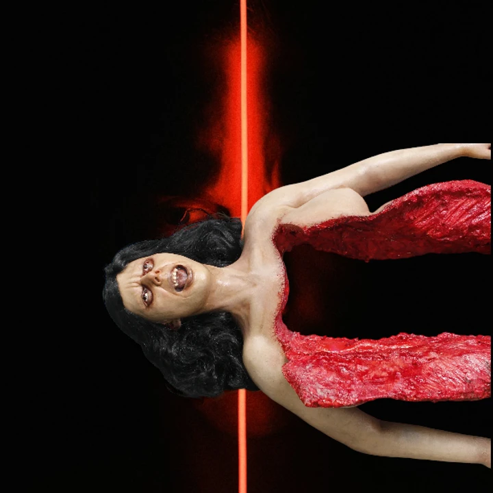 Dura Autopsy Brittany With Pass-Through 4 Dura Autopsy Brittany With Pass-Through - Image 2