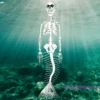 30" Mermaid Skeleton Decoration -Bloodline Effects Store 82c588 a00d6e0079974e3ca518615d259aed53mv2