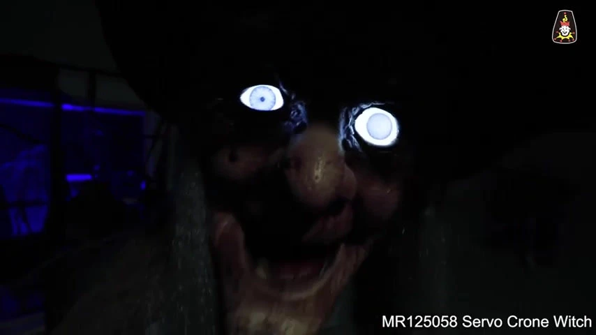 Witch Animated Servo Activatd 3 Witch Animated Servo Activatd