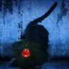 Animated Cat -Bloodline Effects Store 82c588 a1c7cdb84f2a4579b60238e77b878163f002