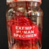 Human Heart In A Jar -Bloodline Effects Store 82c588 aa9b64a119154b069751c340da81f744mv2