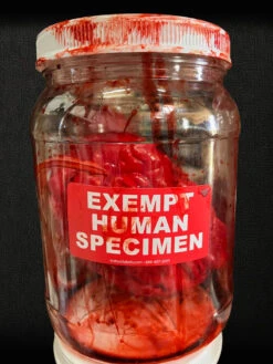 Human Heart In A Jar