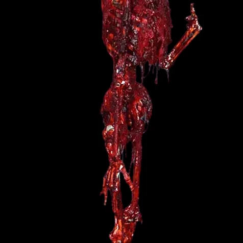 Meat Mummy With Phoebe Head 4 Meat Mummy With Phoebe Head - Image 2