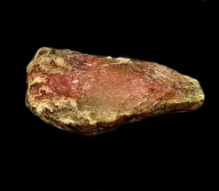 ANIMAL PROP ROTTED BEEF FLANK MEAT