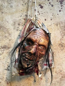 Zombie Head In A Bag -Bloodline Effects Store 82c588 c0a64fbfdf4748e497eabc49ad941eb9mv2