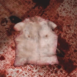 Human Torso Skin -Bloodline Effects Store 82c588 c438943260d843a0971d0775807e503dmv2