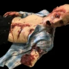Slashed Floyd Half Anatomical Dummy -Bloodline Effects Store 82c588 c72dfda9cb9b496eb1f1122bd92bb878mv2