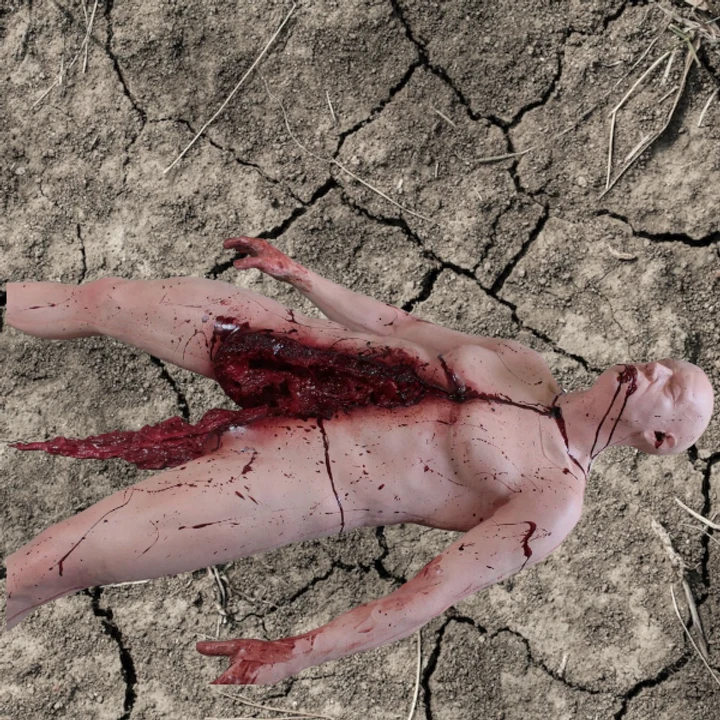 Bifurcated Ben Body 6 Bifurcated Ben Body - Image 4