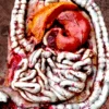 Large Intestine And Stomach Latex -Bloodline Effects Store 82c588 c82d2444486f4d29bb9007d699d3d137mv2
