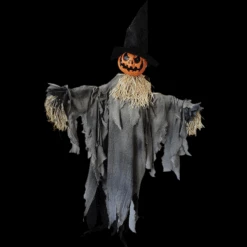 Pumpkin Animated W Hat