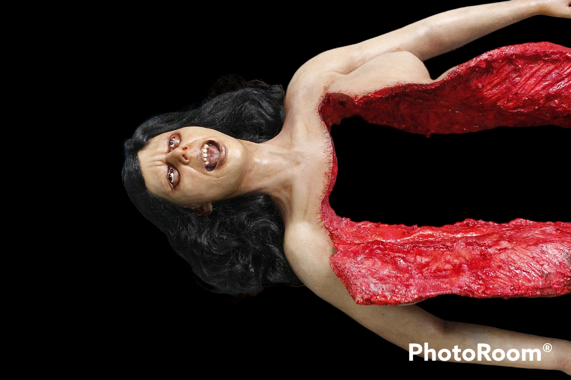 Dura Autopsy Brittany With Pass-Through 8 Dura Autopsy Brittany With Pass-Through - Image 6