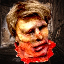 Body Parts Severed Head -Bloodline Effects Store 82c588 cd4e3fc1c8804dd29908f9433c7b865fmv2