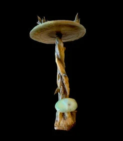 13” Tall Spiny Mushroom Prop