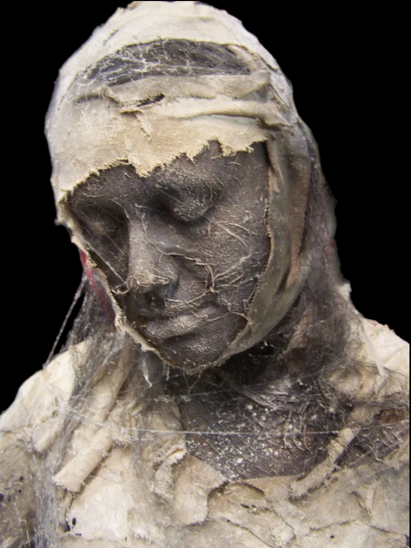 QUEEN NEFERTITI MUMMY STANDING BODY 4 QUEEN NEFERTITI MUMMY STANDING BODY - Image 2