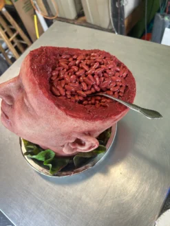 Head Dish 2 -Bloodline Effects Store 82c588 de0f0234bf084ebd8995c76576093070mv2