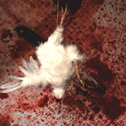 Animal Prop Chicken Headless -Bloodline Effects Store 82c588 e2333975734642c29263d4c94049b74bmv2