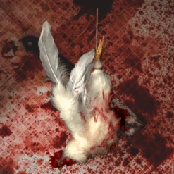 Animal Prop Chicken Hanging Dismembered -Bloodline Effects Store 82c588 e75464ee413f440fb1567377e5e53db9mv2