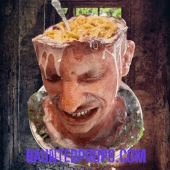 Head Dish 1 -Bloodline Effects Store 82c588 eaa27e83db8e44d1bd07462f40c6ef1bmv2