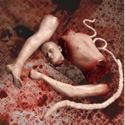 Male Mutilation Combo -Bloodline Effects Store 82c588 ee37771fcf83427bbd7610ec79b396ffmv2