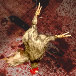 Animal Prop Chicken Hanging - HeadBROWN -Bloodline Effects Store 82c588 f1f25e6f685a4738b5be13f766bb86fcmv2