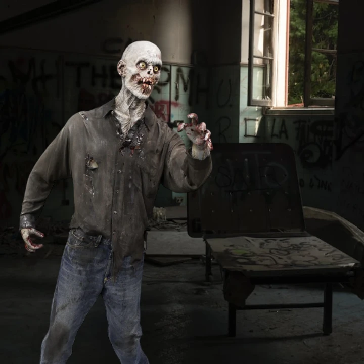 Lich Zombie Value Figure 3 Lich Zombie Value Figure